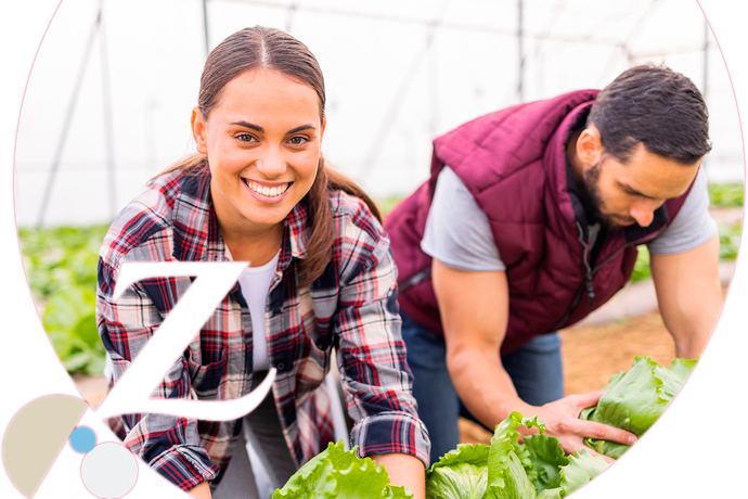 dos personas recogiendo la cosecha